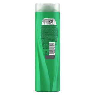 SH.SEDA CACHOS DEFINIDOS 325ML - Imagem 1
